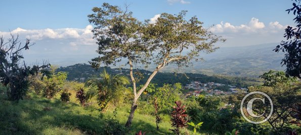 IMG_20250715_161748019_HDR