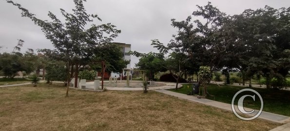 Alameda Real, park at Calle P near Calle B