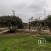 Alameda Real, park near Calle K