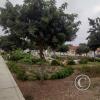 Green space at Sol de la Alameda Real II Etapa