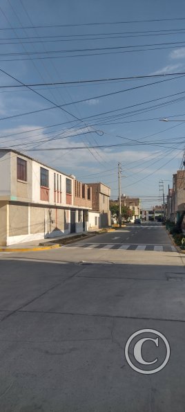 Los Unidos and Los Geranios