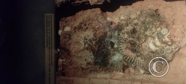 Museum-Tumbas Reales de Sipan (27)
