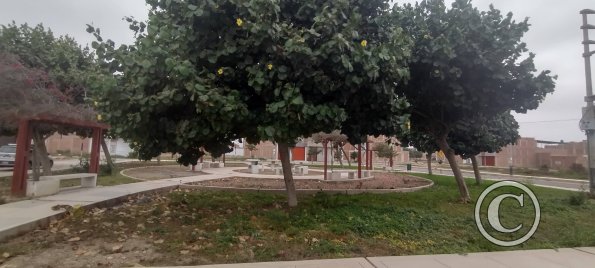Park at Calle R and Calle Q
