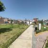 street scene (11)