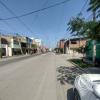 street scene (15)