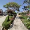 street scene (16)