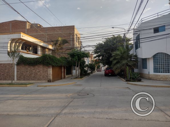 street scene (2)