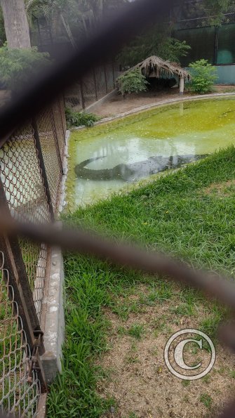 IMG_20230219_153643337_HDR