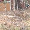 IMG_20230219_154308997