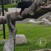IMG_20230219_162444688