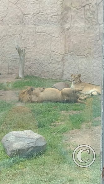 IMG_20230219_164037253