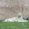 IMG_20230219_164132380