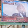 Parque de la Identidad Anccara (10)