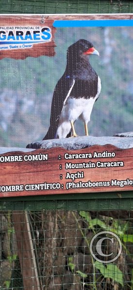 Parque de la Identidad Anccara (12)