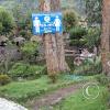Parque de la Identidad Anccara (14)