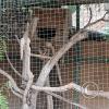 Parque de la Identidad Anccara (17)