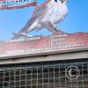 Parque de la Identidad Anccara (20)