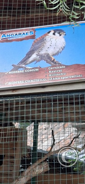 Parque de la Identidad Anccara (20)