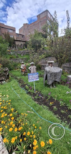Parque de la Identidad Anccara (33)
