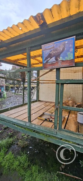 Parque de la Identidad Anccara (7)