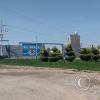 Across from the bus station - there are many topiary trees throughout Majes and Pedregal (2)