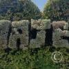 Majes sign in topiary at Calle Zamacola y Calle Vitor