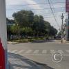 Parque La Alameda (3)