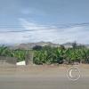 View of Antigua Carretera Panamericana Sur before entering the town (2)