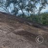 La Piedra Dorada, a giant boulder in the middle of an orange orchard, southeast of town (3)