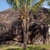 La Piedra Dorada, a giant boulder in the middle of an orange orchard, southeast of town (4)