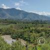 La Piedra Dorada, view, a giant boulder in the middle of an orange orchard, southeast of town (2)