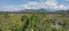 La Piedra Dorada, view, a giant boulder in the middle of an orange orchard, southeast of town (3)