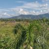 La Piedra Dorada, view, a giant boulder in the middle of an orange orchard, southeast of town (3)