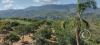 La Piedra Dorada, view, a giant boulder in the middle of an orange orchard, southeast of town