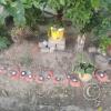 Garden Art - Jiron Pedro Canga near Jiron Independencia