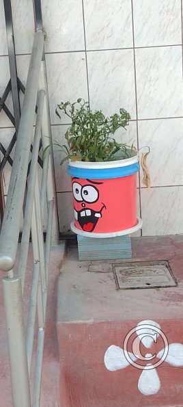Garden art - Pedro Canga near Jiron Independencia