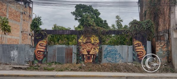 IMG_20250718_110606907_HDR