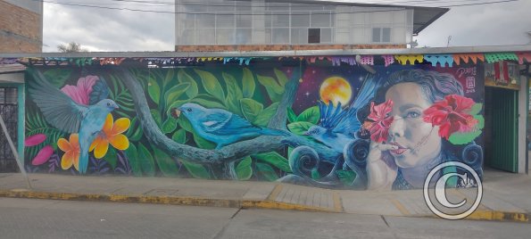 IMG_20250718_122435320_HDR