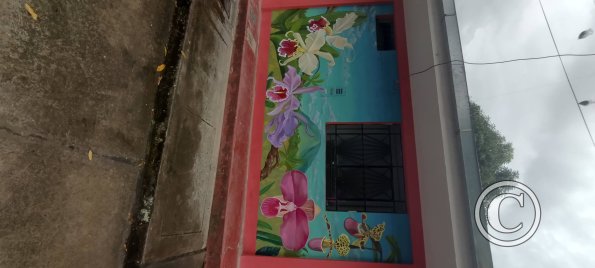 IMG_20250718_134804447_HDR