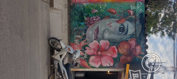 IMG_20250718_173255672_HDR