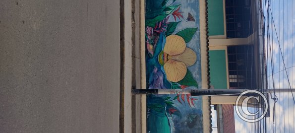 IMG_20250718_174159510_HDR