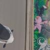 IMG_20250718_174210068_BURST001_COMP