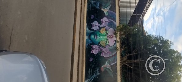 IMG_20250718_174248107_HDR