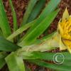 IMG_20250719_143720613