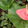 IMG_20250719_144015584_HDR