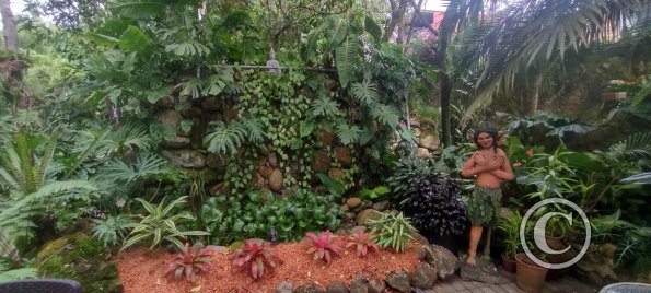 IMG_20250719_144428054_HDR