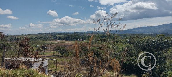 IMG_20250720_112903049_HDR