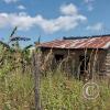 IMG_20250720_114817426_HDR