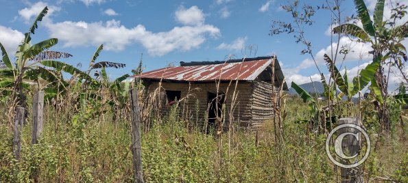 IMG_20250720_114817426_HDR