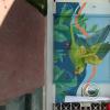 IMG_20250720_132249159_HDR